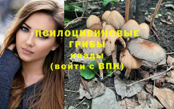 ешки Богородицк