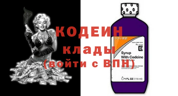 дмт Пересвет