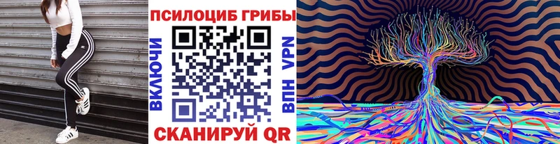 Псилоцибиновые грибы мухоморы  KRAKEN зеркало  Светлогорск 