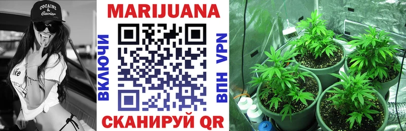 Конопля LSD WEED купить Светлогорск
